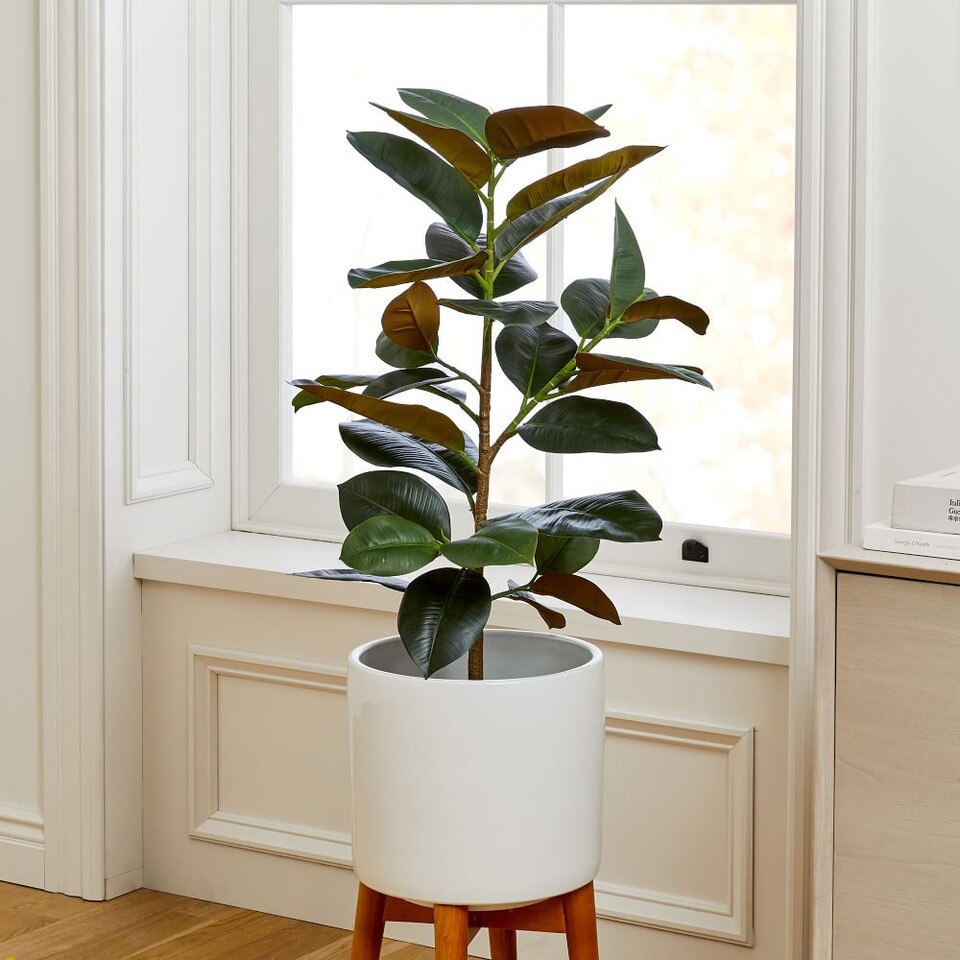 Faux Potted Rubber Tree West Elm Australia